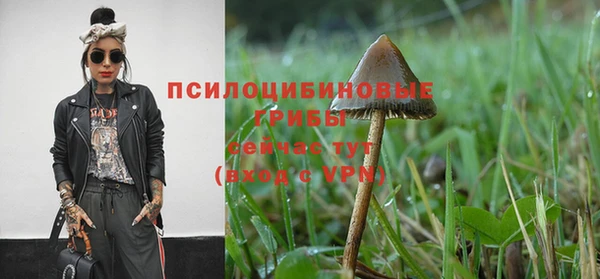 a pvp Балахна